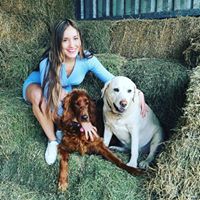 Cheap Doggy Day Care Stanmore